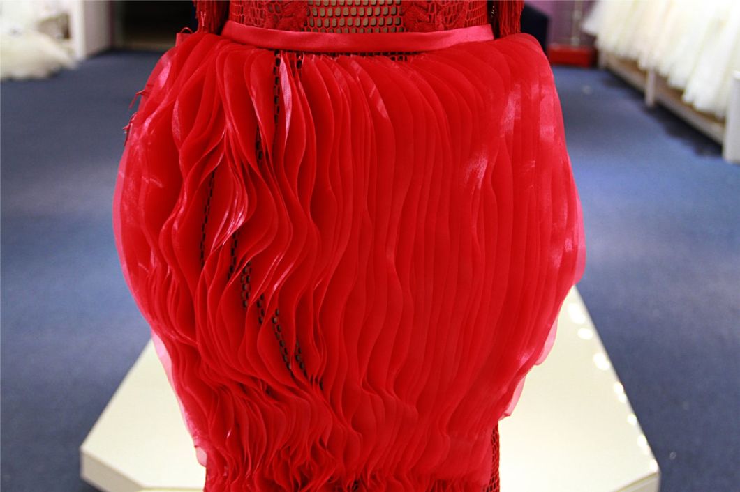 Fashion Designer Red Show Dress