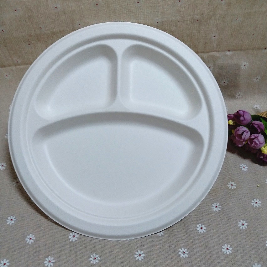 Recyclable Biodegradable Compartment Dish Compostable Disposable Bagasse Plate