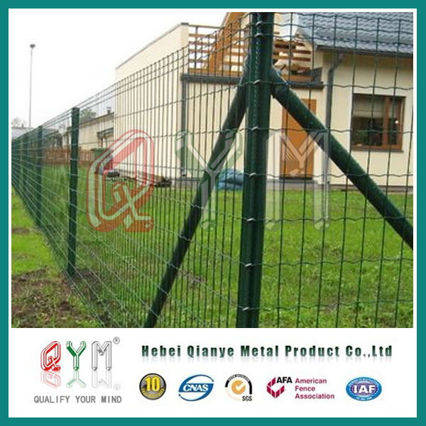 PVC Coated Holland Wire Mesh/ Welded Wire Mesh Euro Fencing