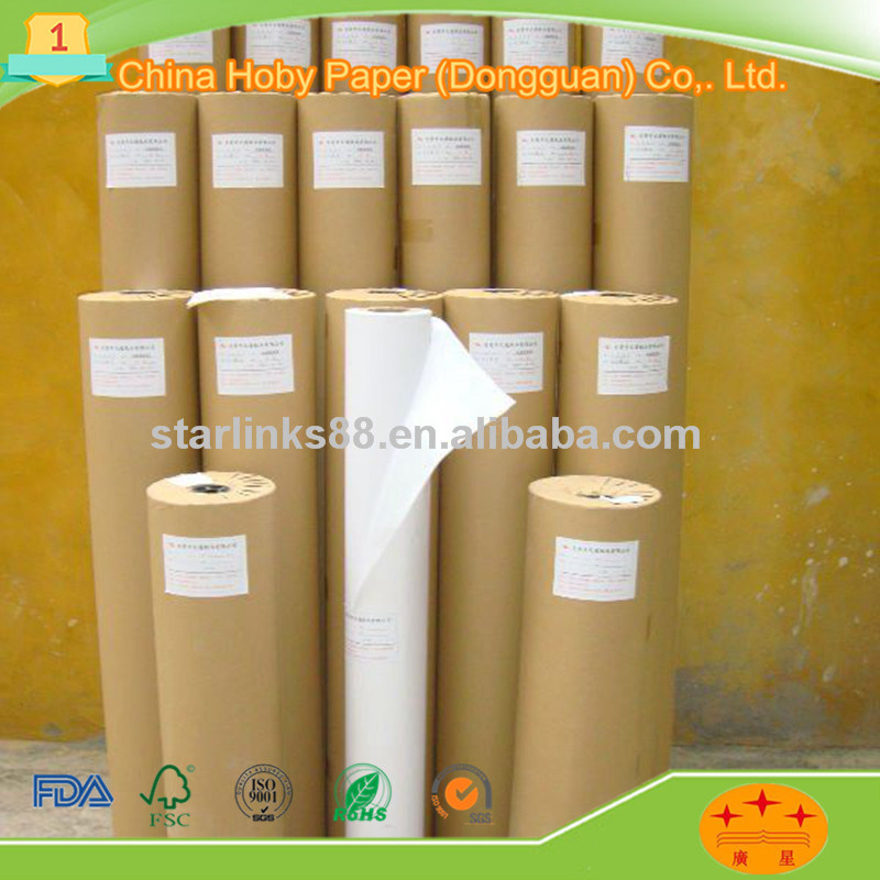 Heat Transfer Paper Rolls Textile Printing