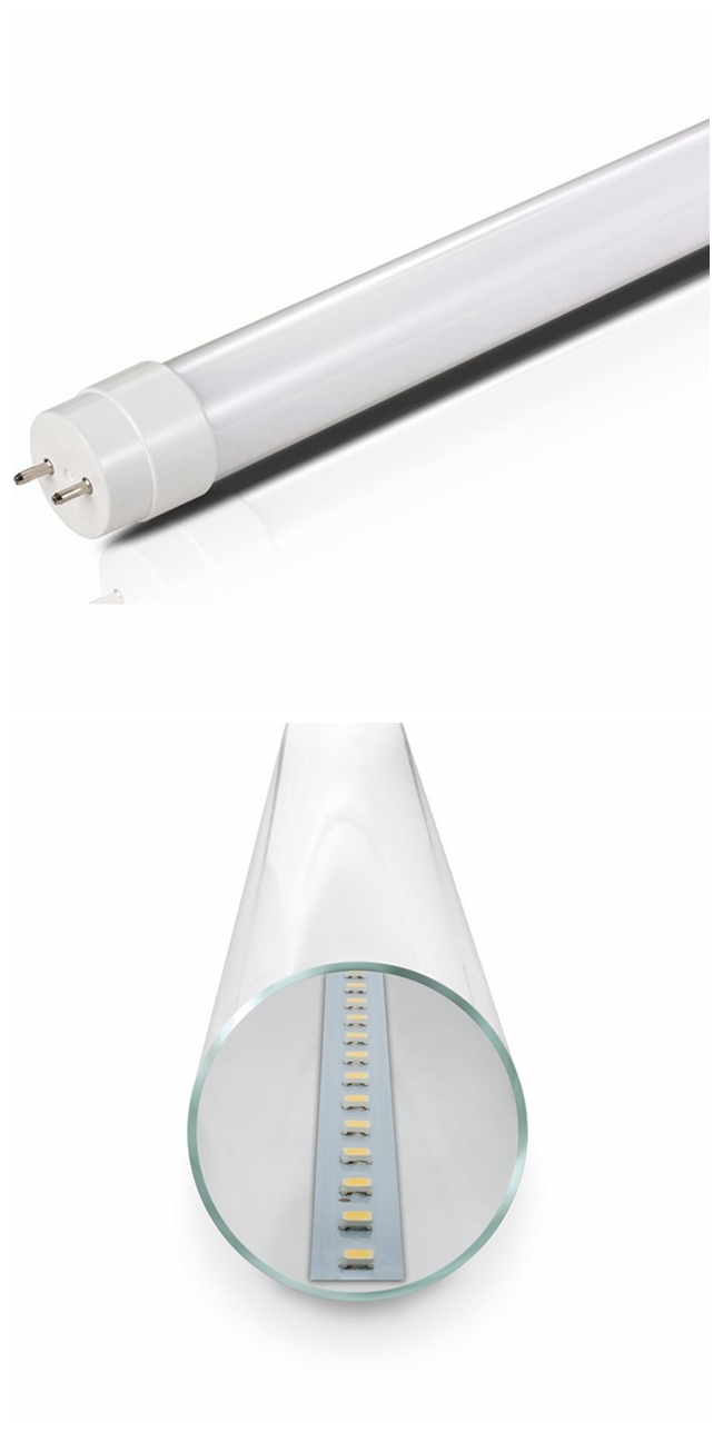 22W Pet Filmed Glass T8 LED Energy Saving Fluorescence Tube for Office Lighting