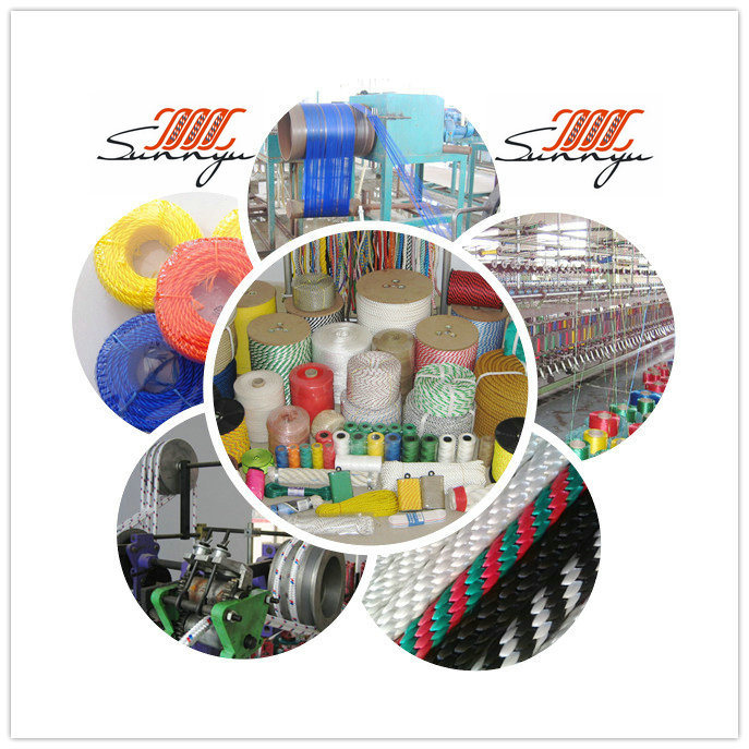 Customized Strong Colored PP Diamond Braided Rope for Packaging