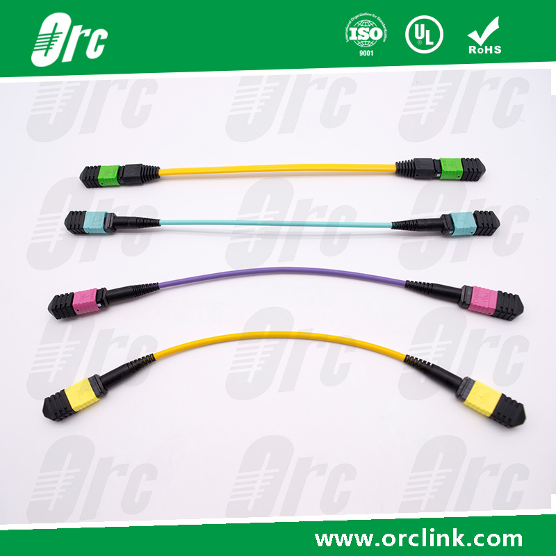 8f/12f/24f MTP/MPO Patchcord Jumper Optical Fiber Connector Sm/Om3/Om4 PVC/LSZH/Ofnp