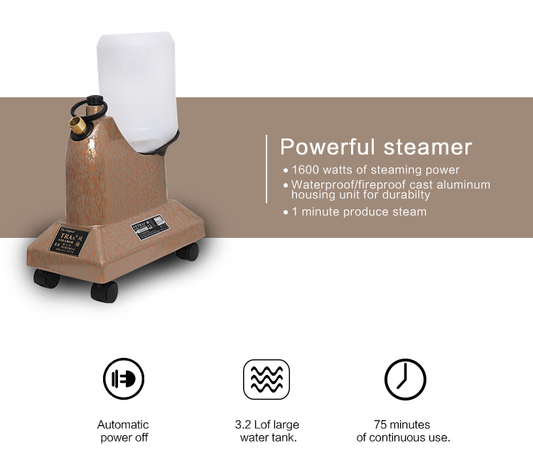 Aluminum Shell Best Vertical Steam Iron Electric Garment Steamer