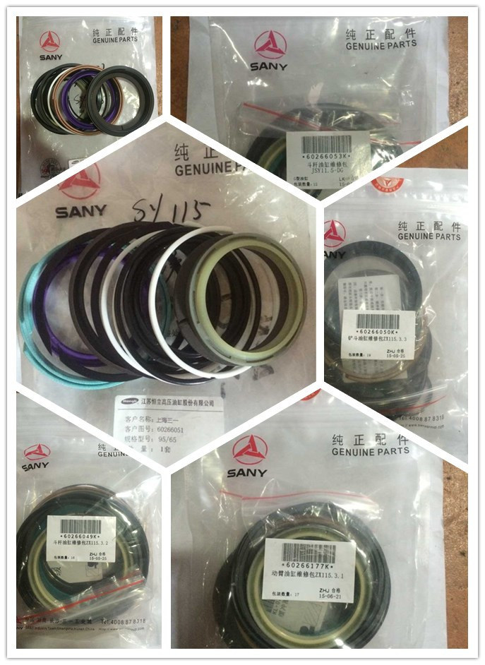 Sany ODM Seal for Hydraulic Excavator Spare Part