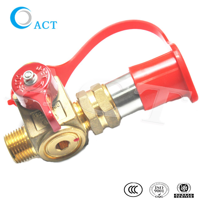 CNG LPG Gas Control Valve for Cars NGV1 Filling Valve