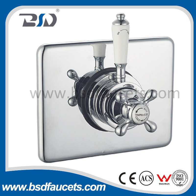 Concealed&Exposed Thermostatic Shower Valve with Rectangular Plate Ceramic Handle