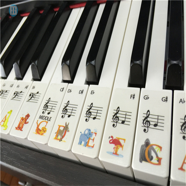 Plastic Removable Waterproof Piano and Keyboard Label Transparent Sticker