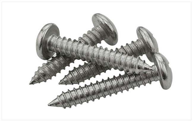 Stainless Steel 304 Cross Recesed Round Head Tapping Chipboard Screw