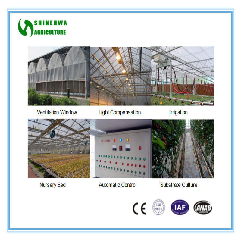 2018 Multi-Span Poly Film Hydroponics Greenhouse