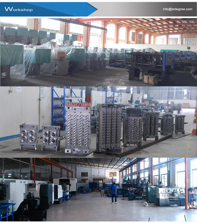 Chinese Mould Manufacturer Injection Pet Preform Bottle Mold