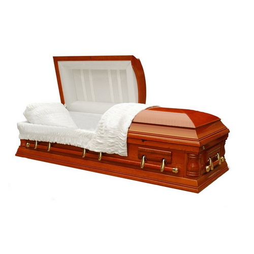 China Manufacturer Cardboard Caskets for Funeral Use Td--AC02