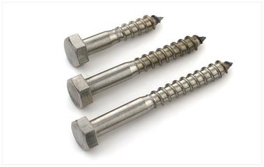 2016 Stainless Steel Wood Screws with Good Quality