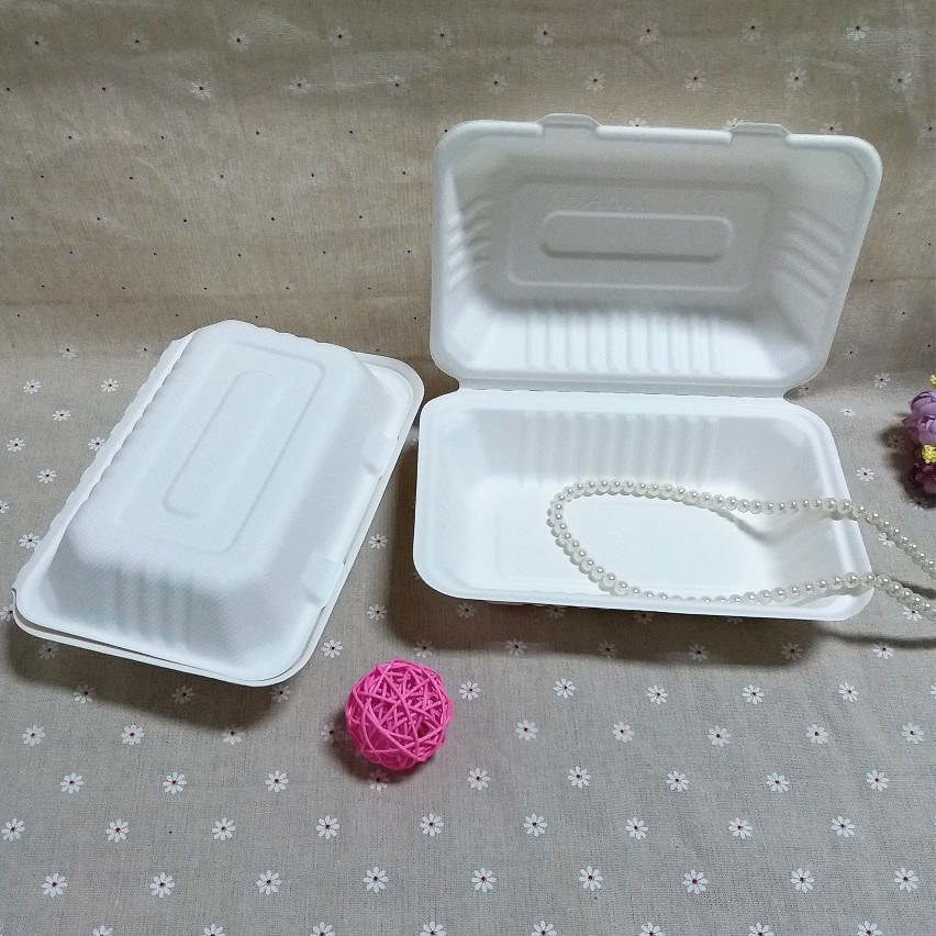 Biodegradable Food Container Bagasse Compostable Bento Lunch Box