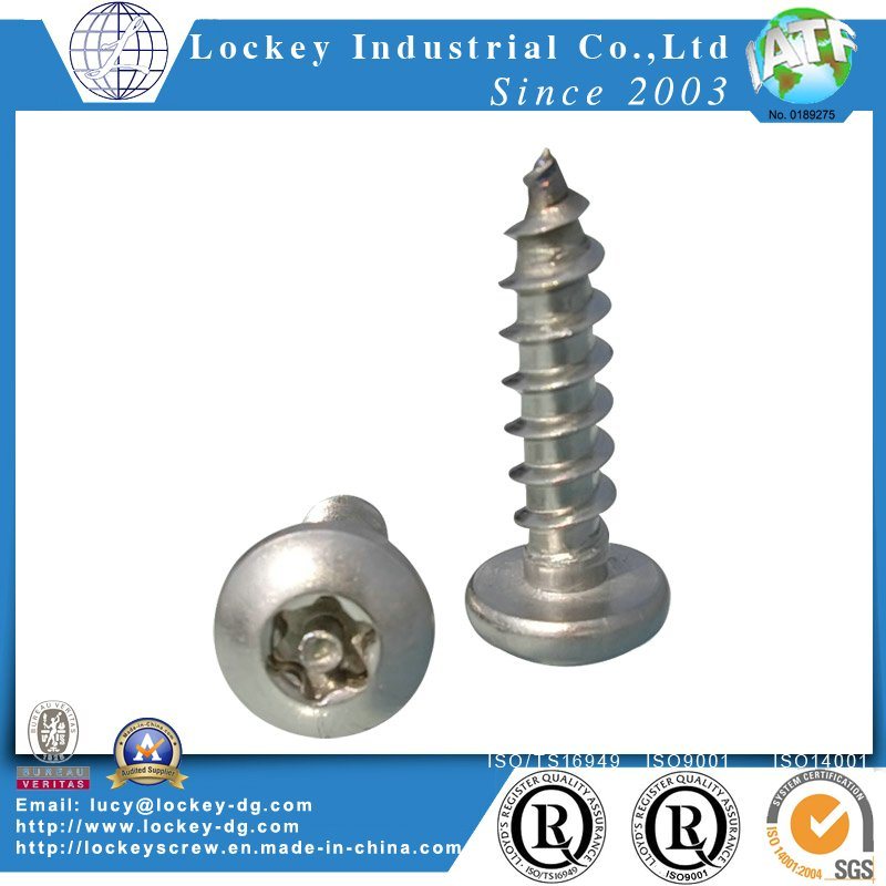 Stainless Steel Round Head Six-Lobe with Tamper Self Tapping Screw