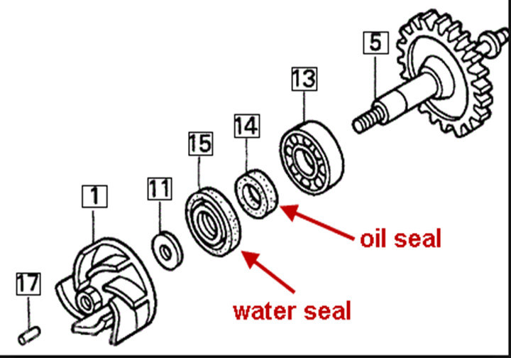 NBR Engine Parts Rubber Oil Seals for Hydraulic Pump