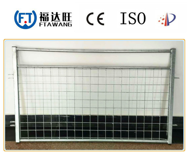 Galvanized Chain Link Fence/Farm Wire Mesh Fence/Security Fence