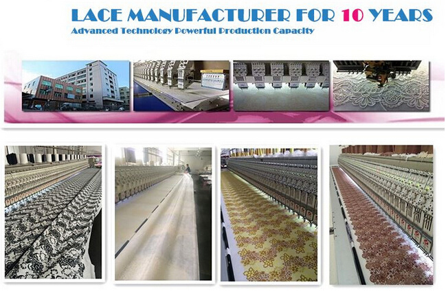 China Supplier Chemical Lace Fabric for Garment