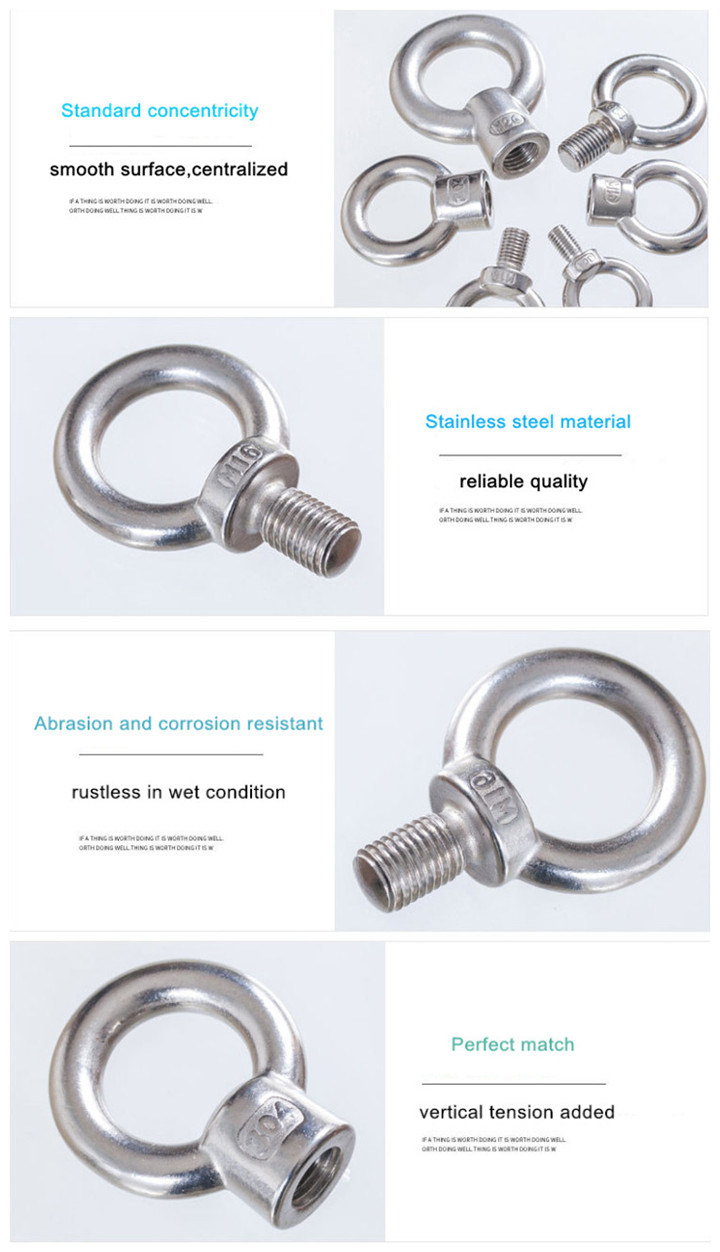 Stainless Steel 304 316 Eye Bolt DIN580 for Lifting