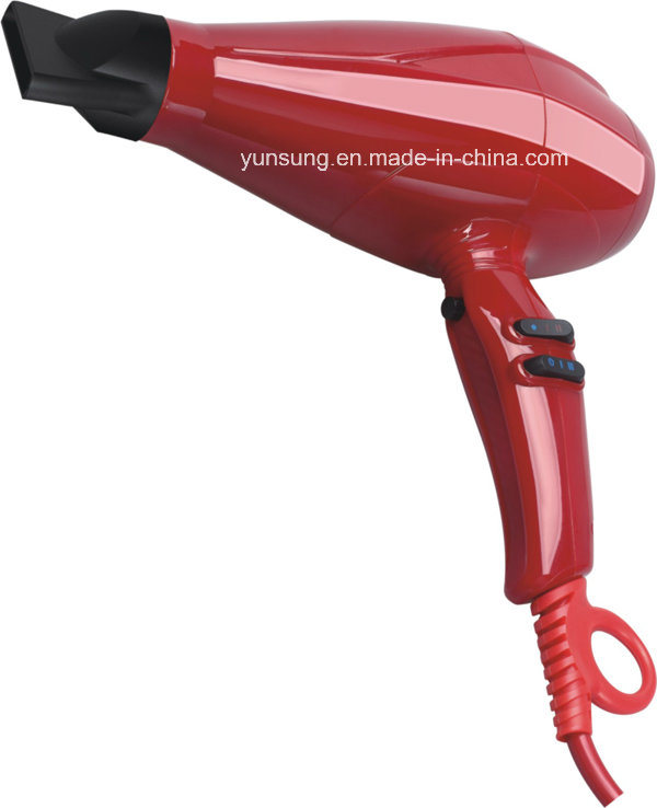 Hair Dryer Professional Products with Hair Diffuser (YS-6721)