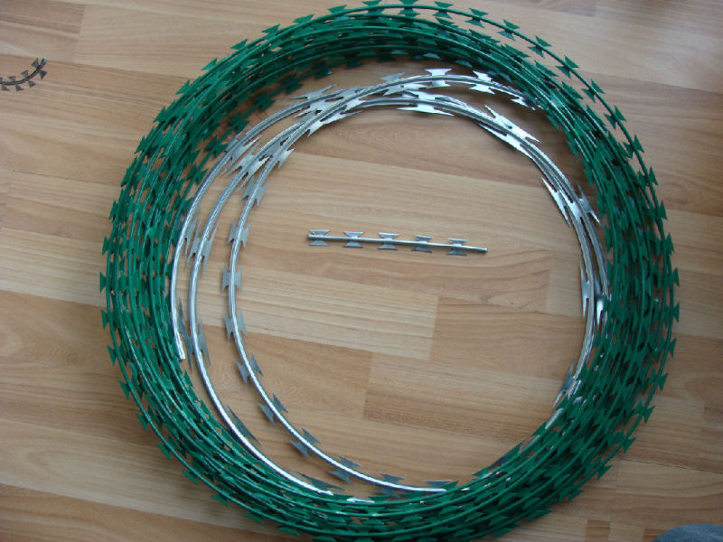 PVC Coated Galvanized Concertina Barbed Wire (XA-RW004)