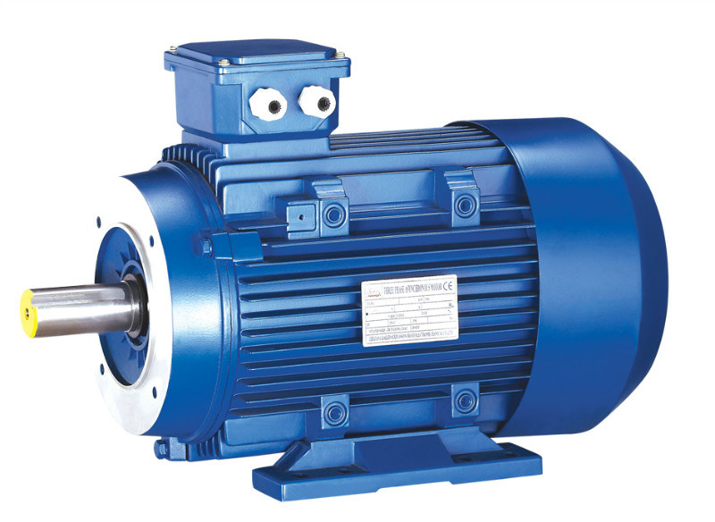 Y3 Series High Torque Three Phase Induction Motor
