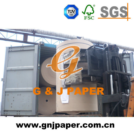 Good Quality Spool Paper Used for Paper Tube Production