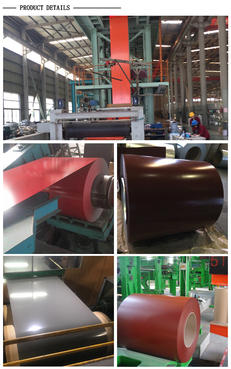 Bobina de aço PPGI de venda quente Hot Sale PPGI Steel Coil
