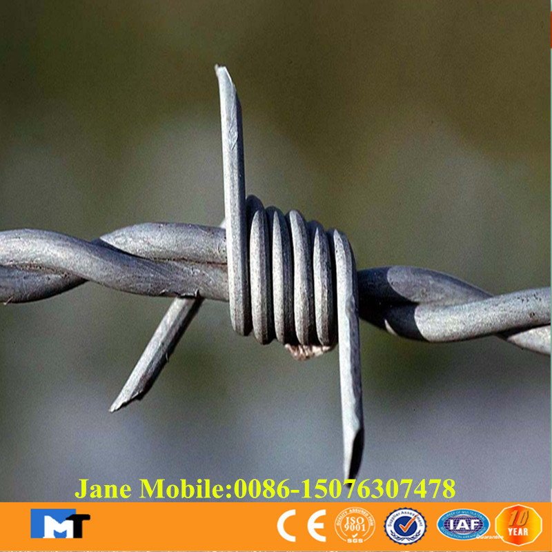 Hot Sell Products Galvanized Barbed Wire (MT-BW3)
