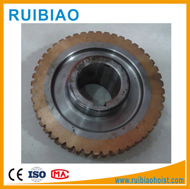 Customized Brass Worm Gear and Shaft Worm Wheel