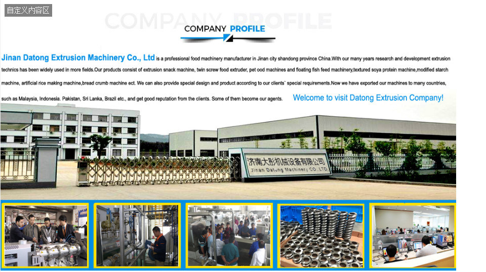 Core Filling Inflating Rice Corn Cereal Puffs Snack Food Double Twin Screw Making Extruder Machine Processing Production Line