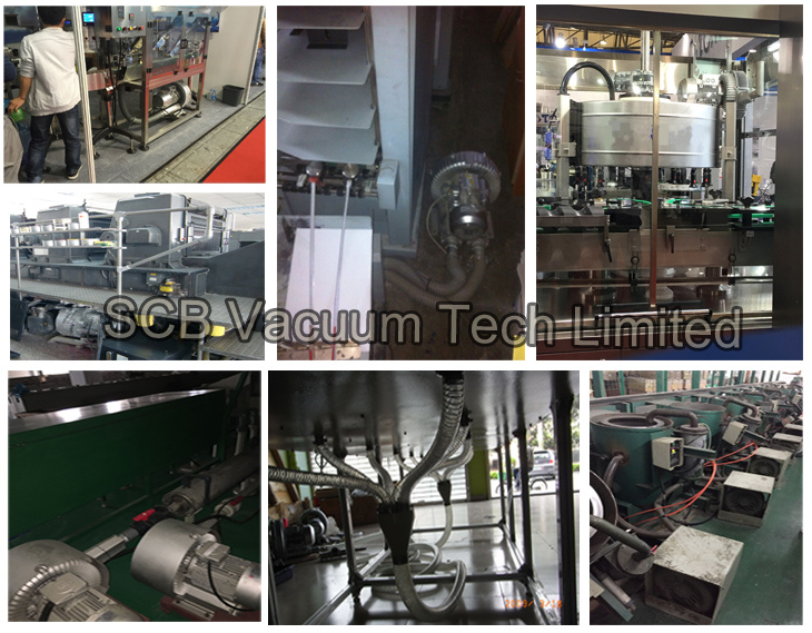 Double Stage Vacuum Pump for Desalination Plant