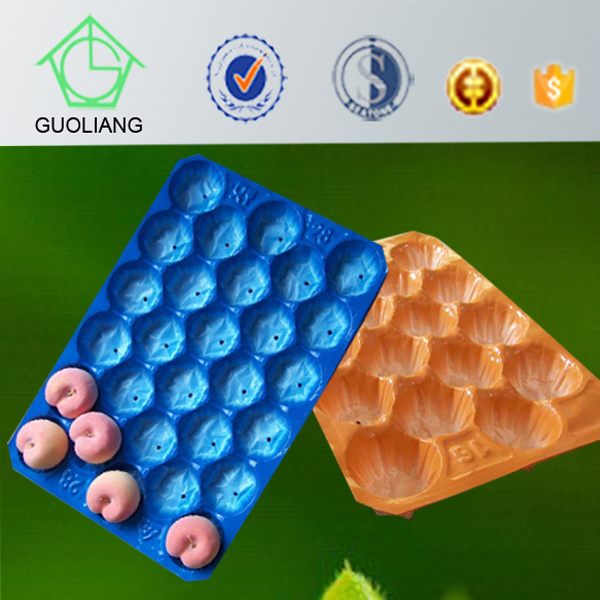 Plastic Manufacturers Food Service Packaging Container Tray