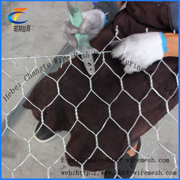 China Gabion/Factory Hot-Dipped Galvanized Gabion Basket