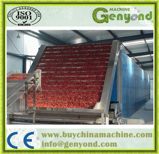 Continuous Fruit Vegetable Belt Drying Machine