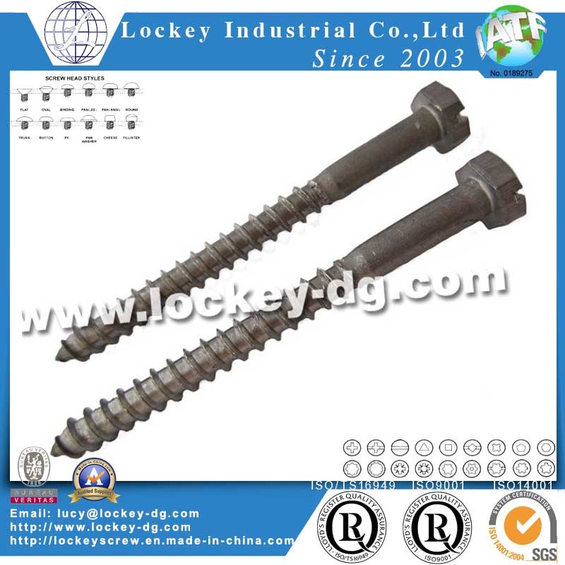 Hex Flange Head Lag Screw Wood Screw Coach Screw