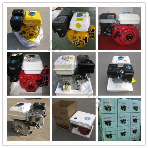 China Factory Price Hot Sell Gasoline Engine 6.5HP for Troweling