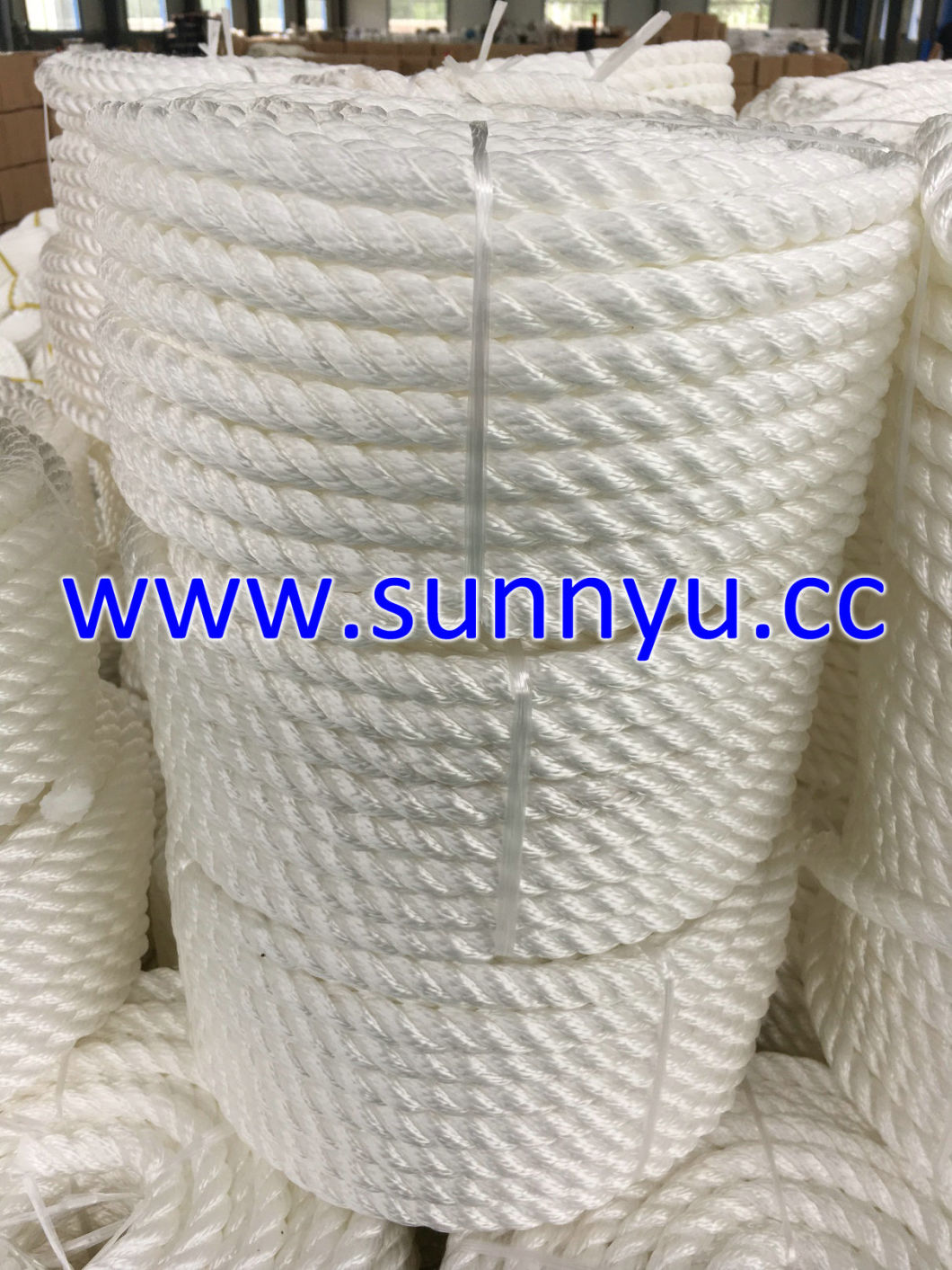 PP Multifilament Rope, Nylon Multifilament Rope, PP Rope, Nylon Rope