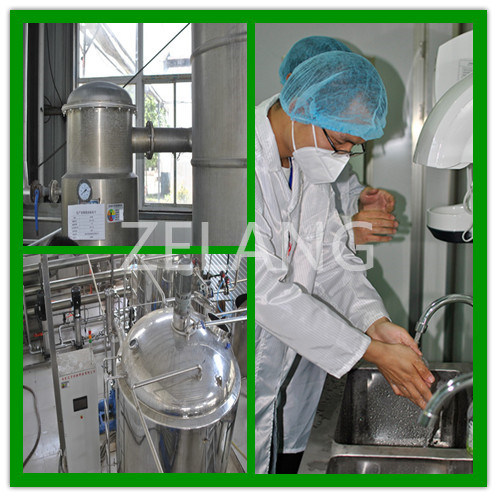 Manufacturer of Goji Extract Powder/Wolfberry Extract Powder/FDA; ISO22000; Kosher; SGS; Halal.