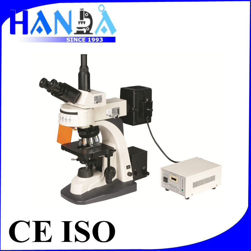 Lab Microscope Handa Fluorescence Microscope LED Microscopes