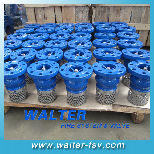 Flanged Cast Iron Bolts Foot Valve