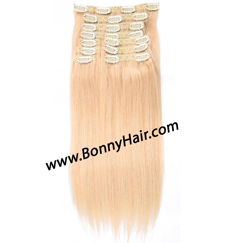 Clip on Hair Extension Indian Virgin Human Remy Hair Extension