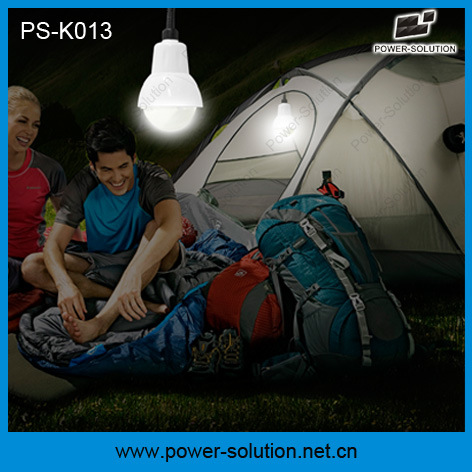 2 Lights Mini Solar Camping Kit with USB Solar Charger