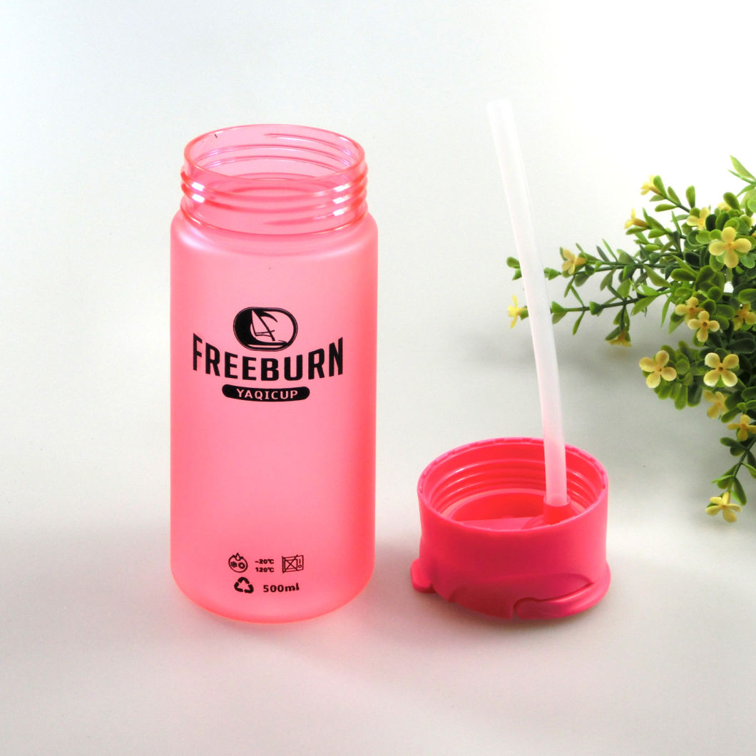 Manufacturers Direct Sales New PC Straw Plastic Space Water Bottle