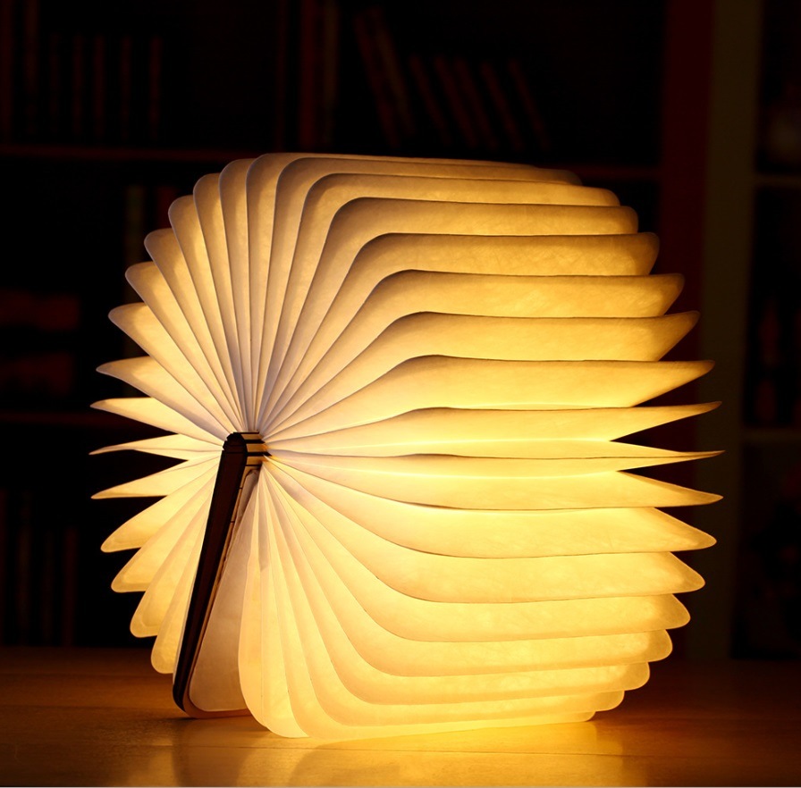 Hot Selling New Design LED Book Light