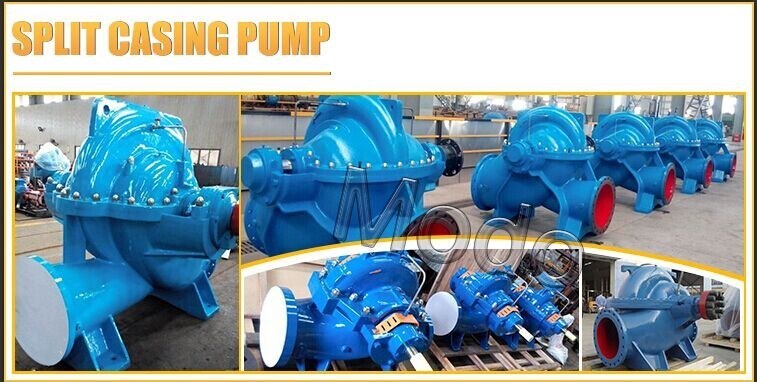 Sewerage Utilities Double Suction Centrifugal Water Pump