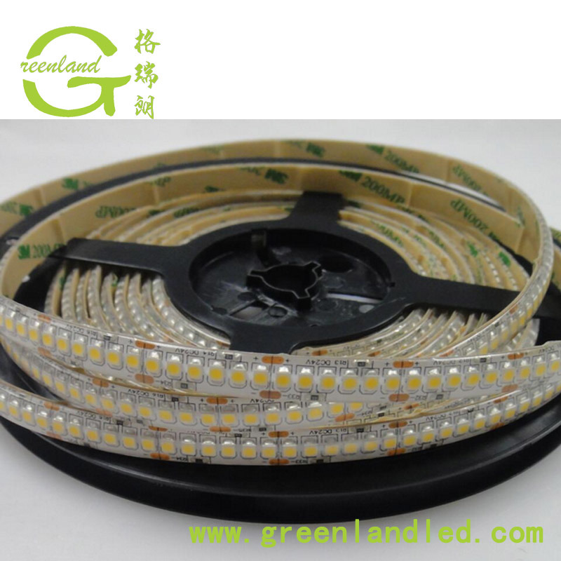 Ce RoHS Flexible LED Light Strips 240d SMD 3528 LEDs 24V DC