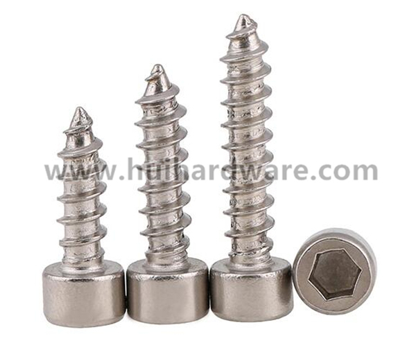 SUS 304 Stainless Steel Socket Cap Head Self Tapping Screw