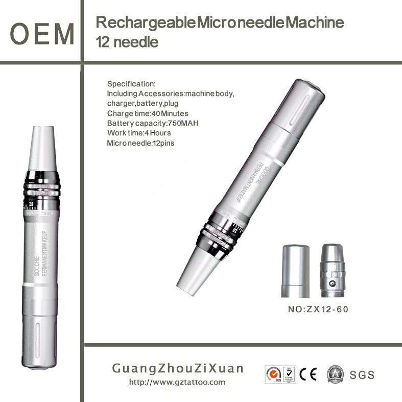 SGS, Ce, LVD, EMC Certification and Derma Rolling System Type Skin Needling Derma Pen