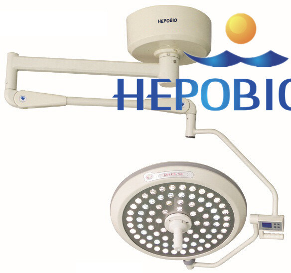 Top Brand Medical Ceiling Dual Head LED Operating Shadowless Lamp Light with Ce